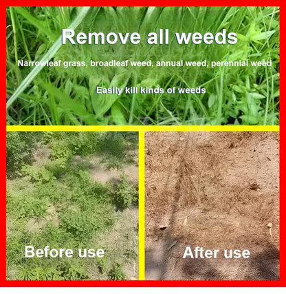 🌿 High Concentration Glufosinate Herbicide (Buy 1 Get 1 Free)  🌿