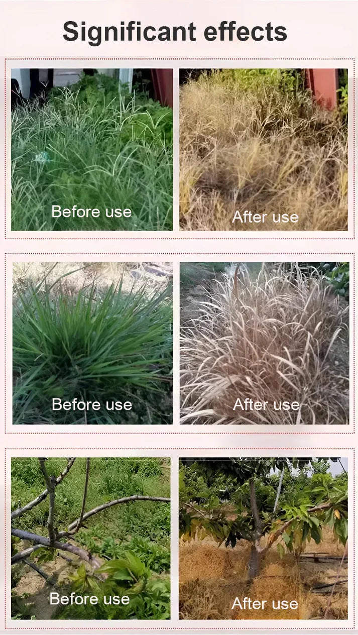 🌿 High Concentration Glufosinate Herbicide (Buy 1 Get 1 Free)  🌿